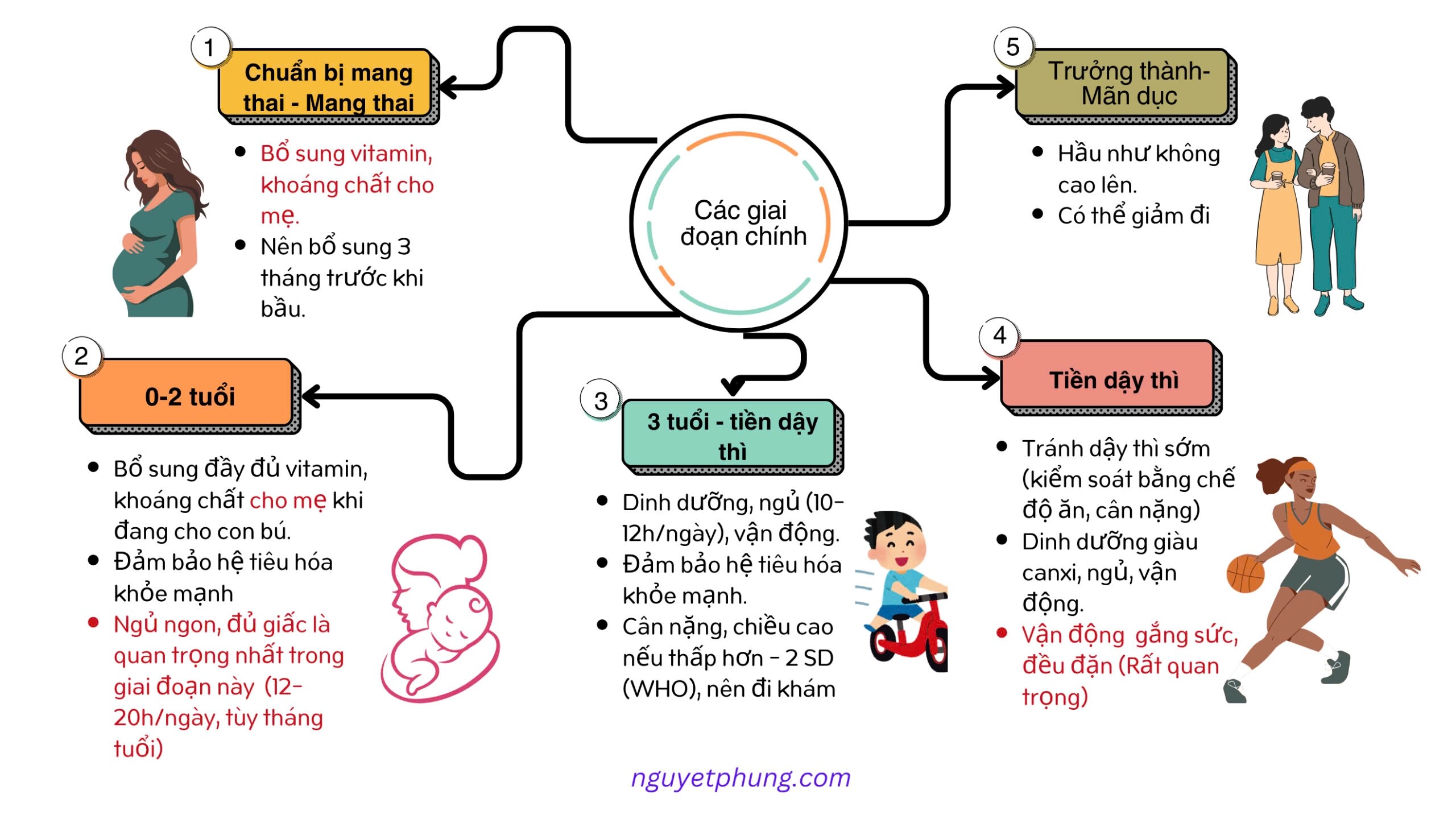 Các yếu tố cần chú để tăng chiều cao cho trẻ một cách khoa học - Ảnh 1